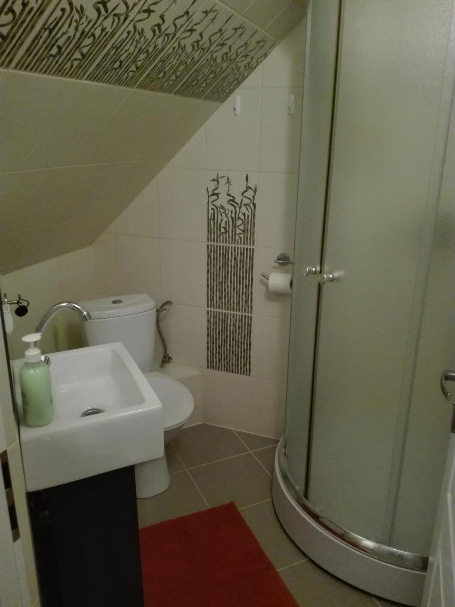 מילנקו Villa Aurelia Pokoje Goscinne I Domki Letniskowe מראה חיצוני תמונה
