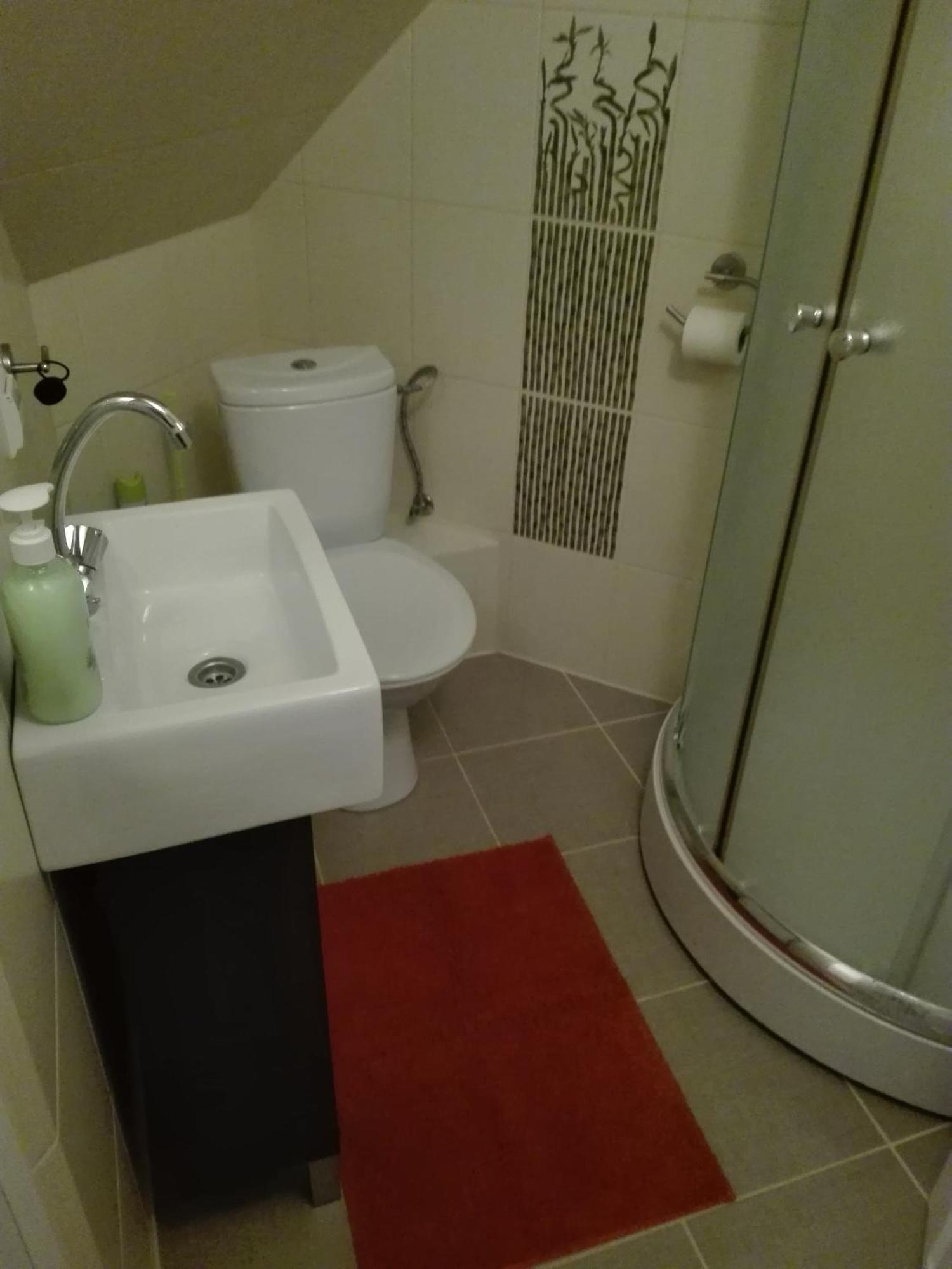 מילנקו Villa Aurelia Pokoje Goscinne I Domki Letniskowe מראה חיצוני תמונה